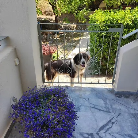 Lilika Santova Kalamata
